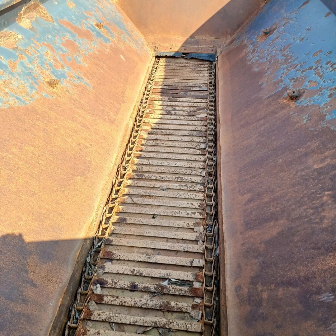 Snapinsta.app_373343286_1077119296610933_7754289818124540390_n_1080